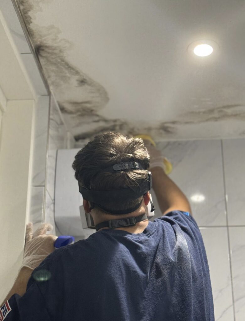 Mould Wash Carried Out